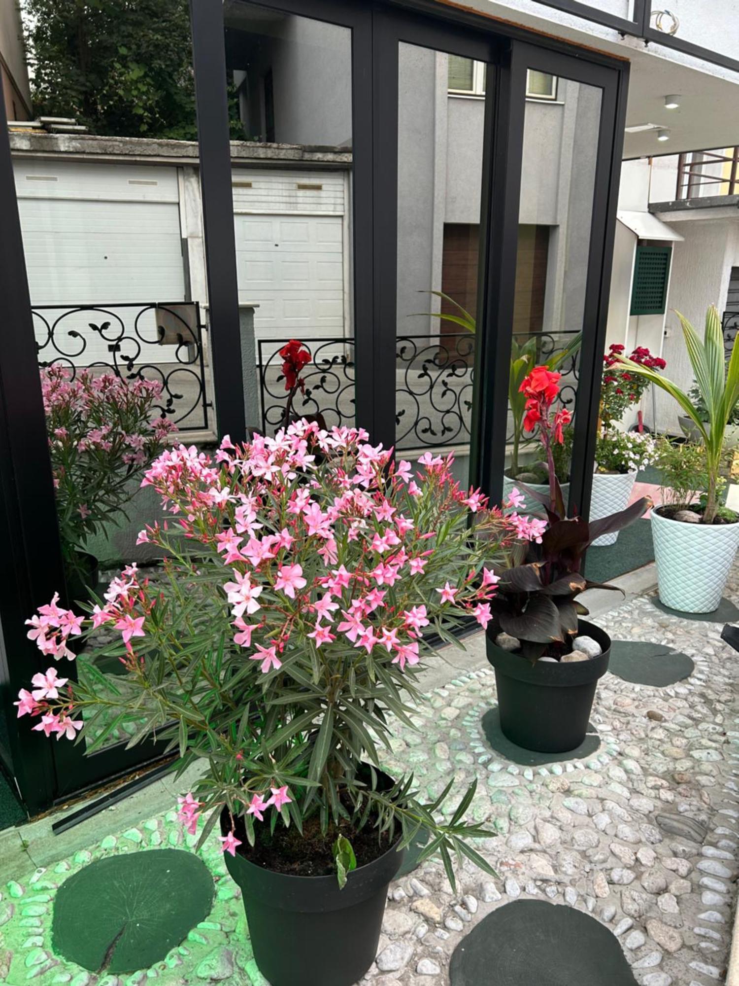 Halvat Guesthouse سراييفو المظهر الخارجي الصورة